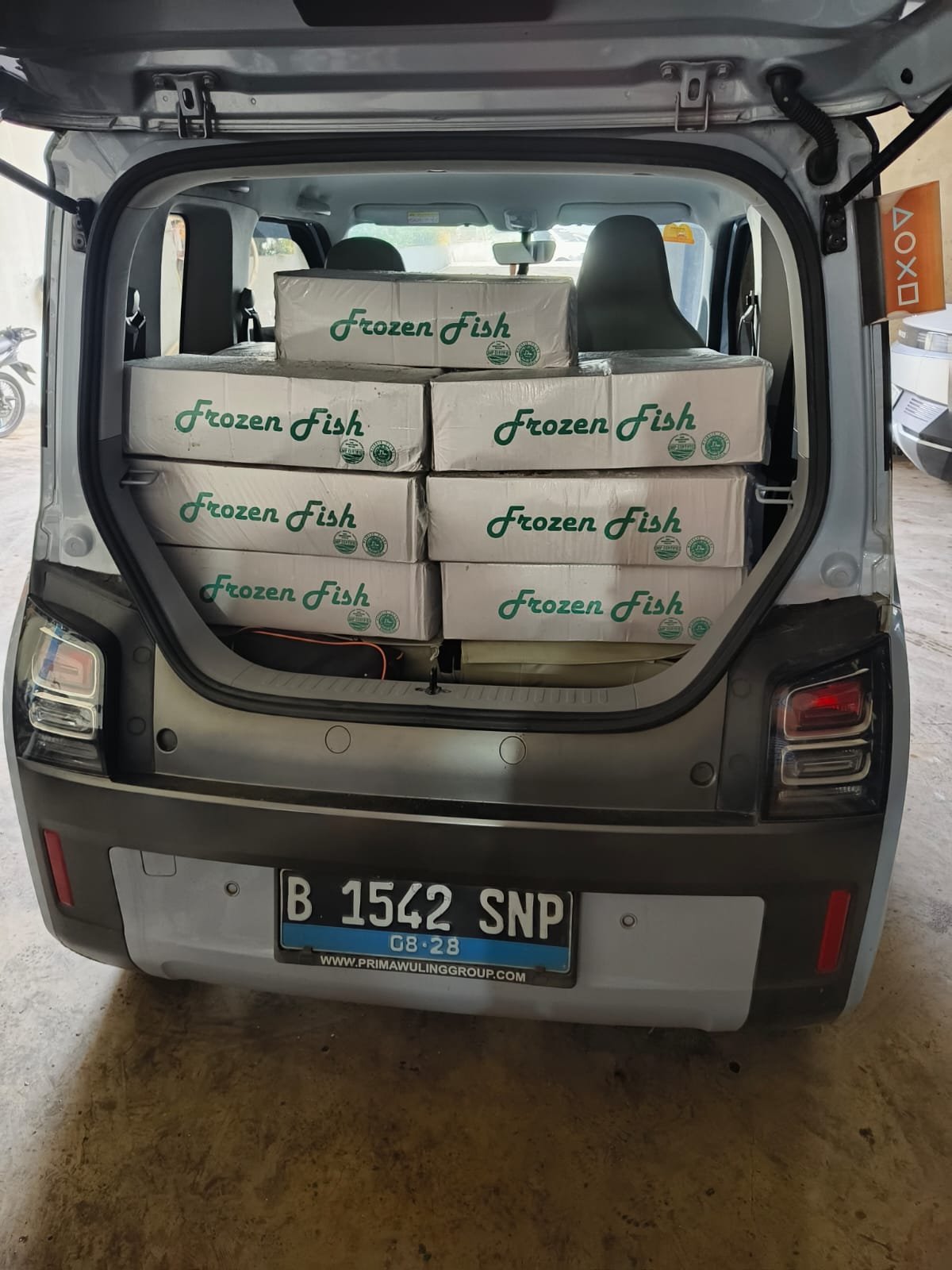 Distributor ayam karkas Magelang dan sekitarnya