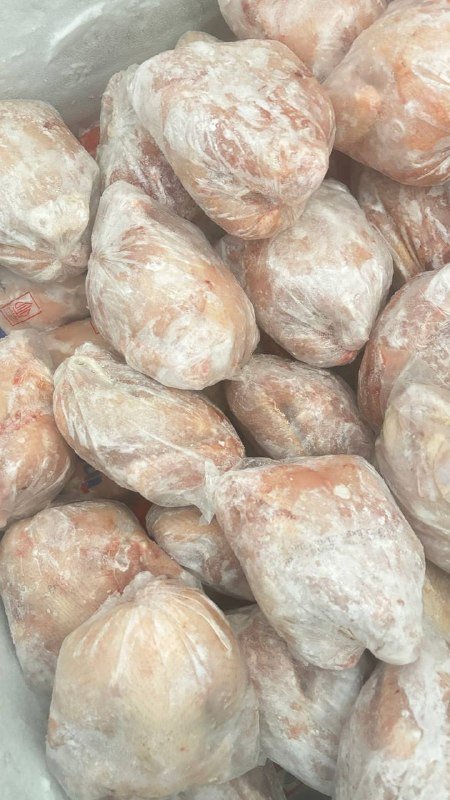 Ayam karkas segar untuk HORECA Semarang